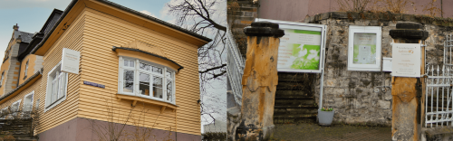 physiotherapeut_erfurt_header_naturheilpraxis_v03